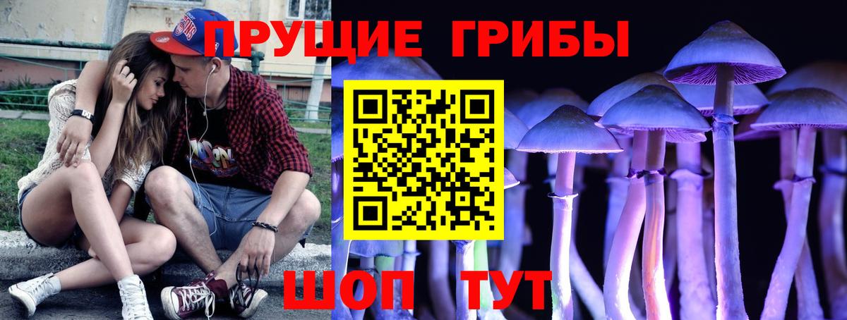 Нижневартовск  Галлюциногенные грибы ЛСД  Вход с VPN  Галлюциногенные грибы GOLDEN TEACHER 